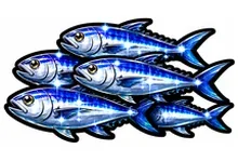 ヌシ釣り -漁火-の図柄 魚群